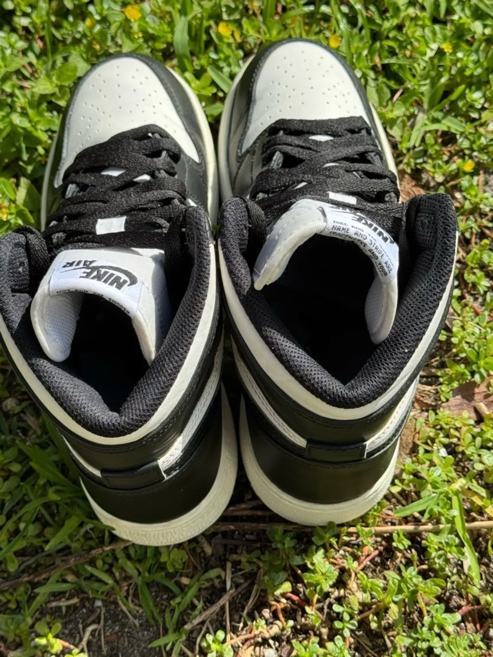Nike authentic jordan